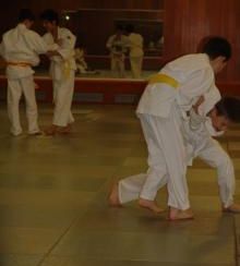 swiper__image